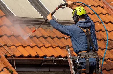 Démoussage et hydrofuge de toiture à Lagrâce-Dieu